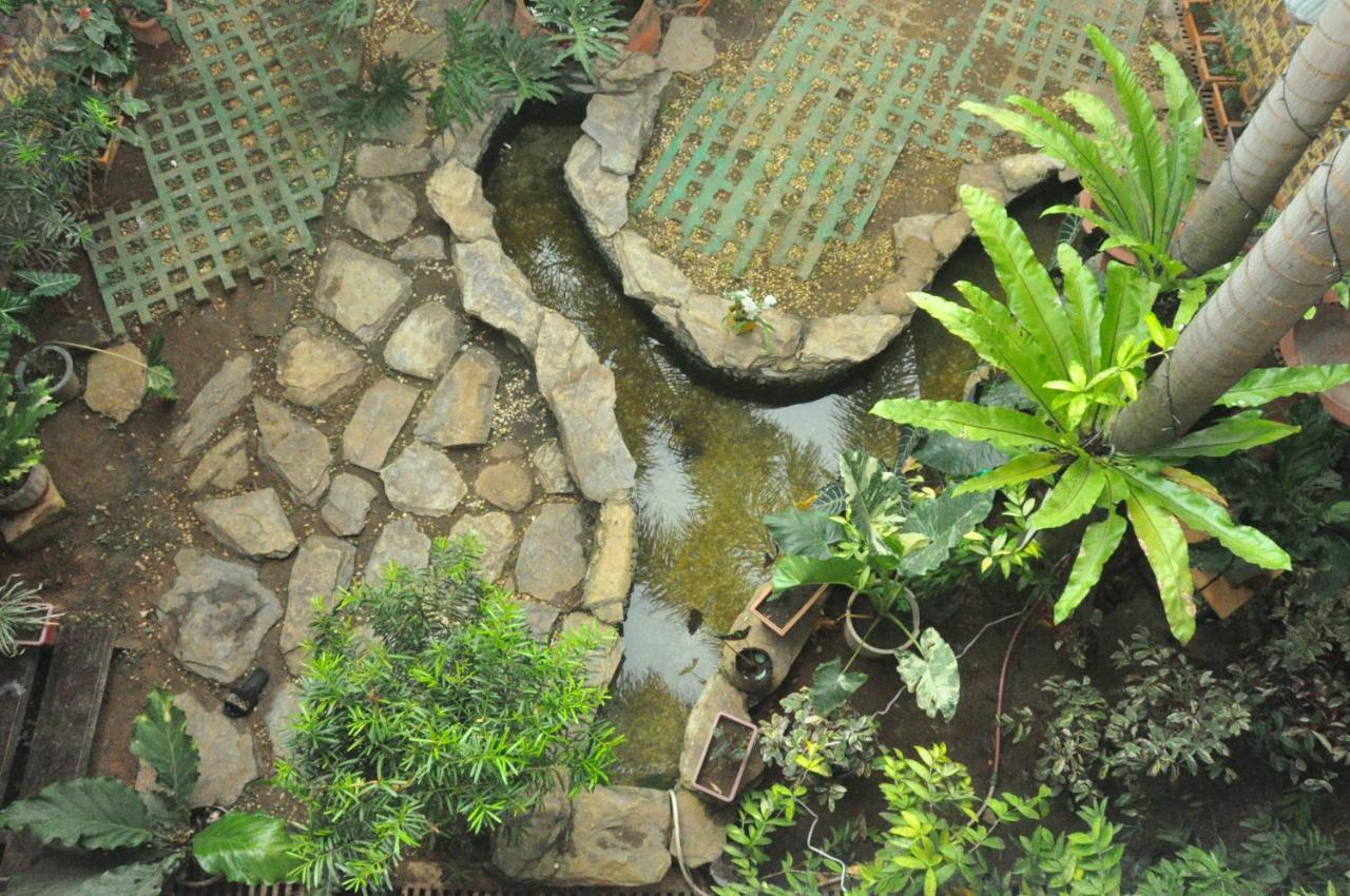 Infinite Green Pension Puerto Princesa Buitenkant foto